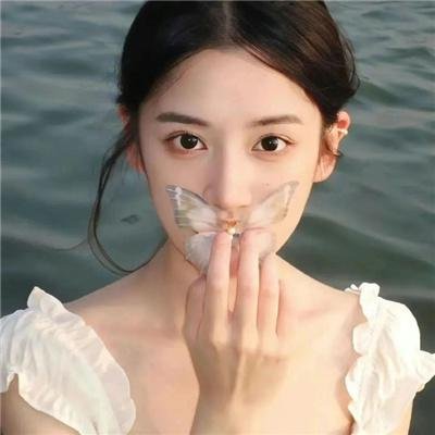 美国鸟类
